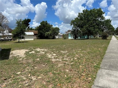 WOW! 1/3 OF AN ACRE (.36) IN DOWNTOWN SEBRING! Plenty of space - photo 25