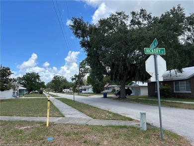 WOW! 1/3 OF AN ACRE (.36) IN DOWNTOWN SEBRING! Plenty of space - photo 26