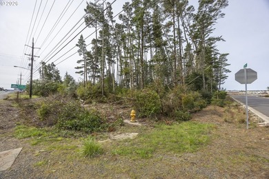 Just under 2 acres of prime commercial land awaits along the - photo 11