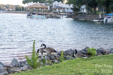 Positioned along a pristine shoreline on Lake Norman, this gated - photo 41