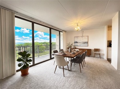 MOVE RIGHT INTO THIS SPARKLING UNIT LOCATED ON THE PENTHOUSE - photo 10