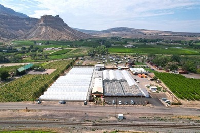 Colorado River Lot For Sale in Palisade Colorado