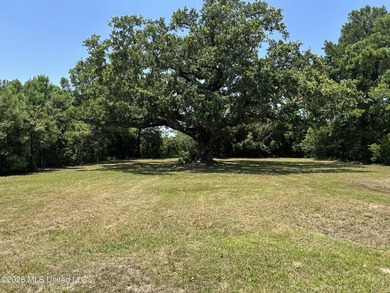 Build your dream home on this beautiful, oversized lot featuring - photo 1
