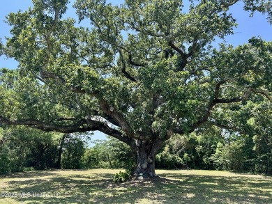 Build your dream home on this beautiful, oversized lot featuring - photo 2