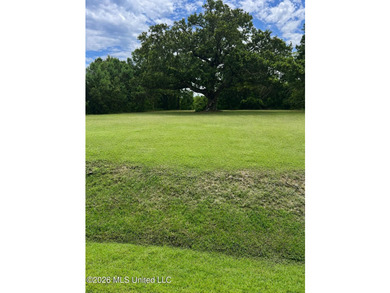 Build your dream home on this beautiful, oversized lot featuring - photo 4