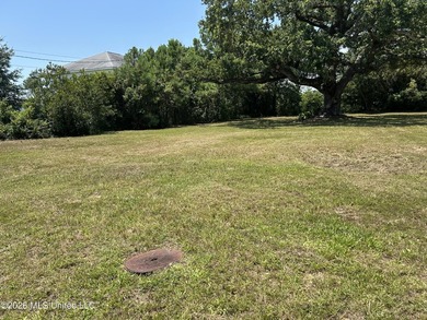 Build your dream home on this beautiful, oversized lot featuring - photo 5