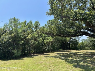 Build your dream home on this beautiful, oversized lot featuring - photo 6