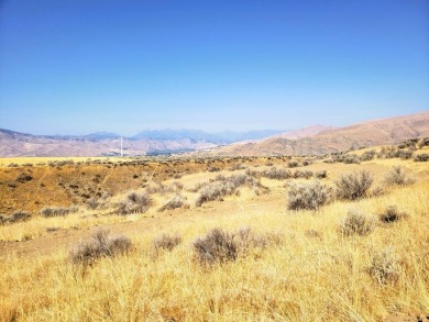 Columbia River Acreage For Sale in East Wenatchee Washington