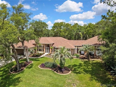 Stunning Pool Home on a Beautiful Double Lot - Room for - photo 3