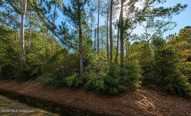 MLS Public Remarks Waterfront Opportunity with Navigable Water - photo 2