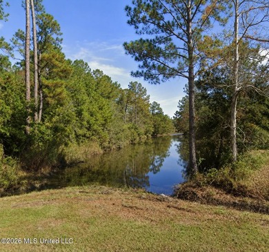 MLS Public Remarks Waterfront Opportunity with Navigable Water - photo 3