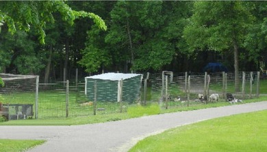 Affordable unit near swimming pool. Bring your own RV or use - photo 6