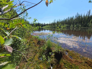 (private lake, pond, creek) Lot For Sale in North Pole Alaska