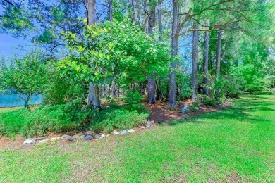 Extremely private, quiet, and secluded with water views from - photo 49