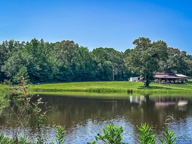 (private lake, pond, creek) Lot For Sale in Diana Texas