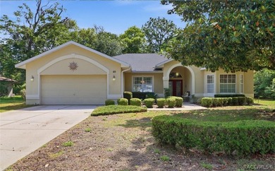 Welcome to this move-in ready home in Sugarmill Woods, where - photo 1