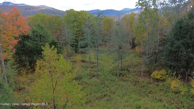 (private lake, pond, coastal) Acreage For Sale in Windham New York