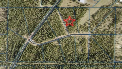 Lake Acreage Sale Pending in Athol, Idaho