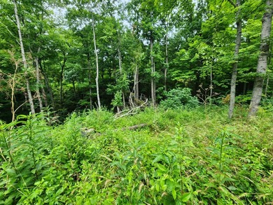 The hunt is over before it begins. With deer season fast - photo 16