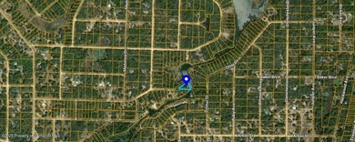 Withlacoochee River Lot For Sale in Webster Florida