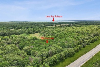 Lake Acreage For Sale in Valley View, Texas