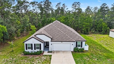 Experience the perfect blend of elegance, comfort, and Florida - photo 2