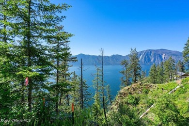 One of the last BIG WATERFRONT parcels in Bayview on Lake Pend - photo 12