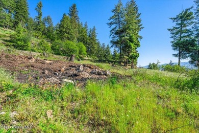 One of the last BIG WATERFRONT parcels in Bayview on Lake Pend - photo 13