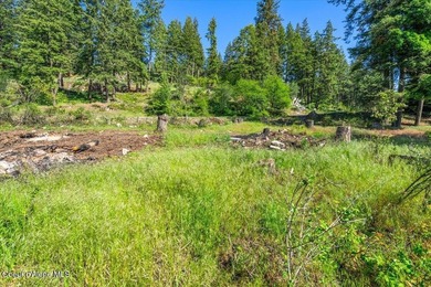 One of the last BIG WATERFRONT parcels in Bayview on Lake Pend - photo 14