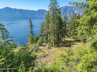 One of the last BIG WATERFRONT parcels in Bayview on Lake Pend - photo 16
