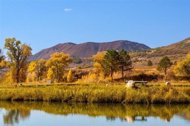 Introducing Mad Mountain Ranch, a very rare opportunity on 213 - photo 8