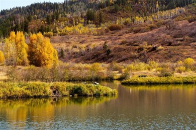 Introducing Mad Mountain Ranch, a very rare opportunity on 213 - photo 9