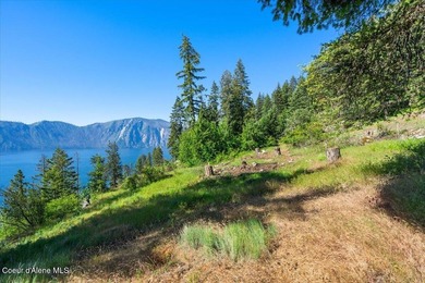 One of the last BIG WATERFRONT parcels in Bayview on Lake Pend - photo 20