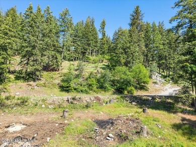 One of the last BIG WATERFRONT parcels in Bayview on Lake Pend - photo 21