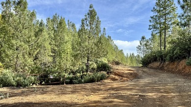 Lake Shasta Acreage For Sale in Redding California