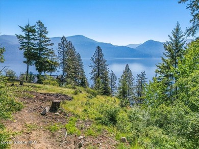 One of the last BIG WATERFRONT parcels in Bayview on Lake Pend - photo 28