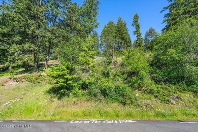 One of the last BIG WATERFRONT parcels in Bayview on Lake Pend - photo 31