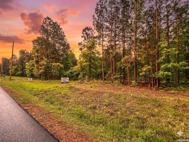 Escape to your own private retreat on this stunning 3.01-acre - photo 1