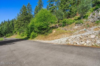 One of the last BIG WATERFRONT parcels in Bayview on Lake Pend - photo 32