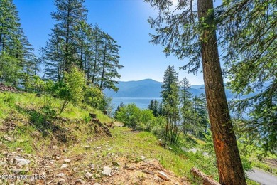 One of the last BIG WATERFRONT parcels in Bayview on Lake Pend - photo 34
