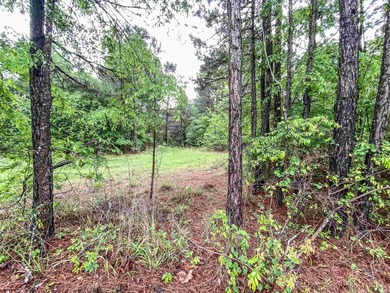 Escape to your own private retreat on this stunning 3.01-acre - photo 5
