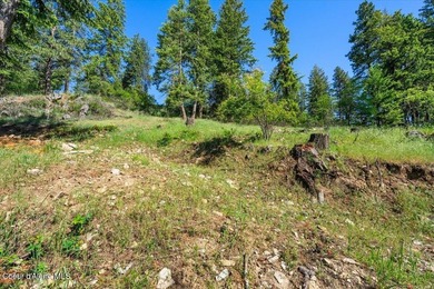 One of the last BIG WATERFRONT parcels in Bayview on Lake Pend - photo 36