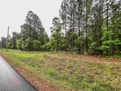 Escape to your own private retreat on this stunning 3.01-acre - photo 7