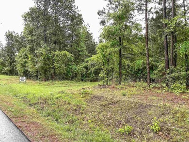 Escape to your own private retreat on this stunning 3.01-acre - photo 8