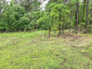 Escape to your own private retreat on this stunning 3.01-acre - photo 9