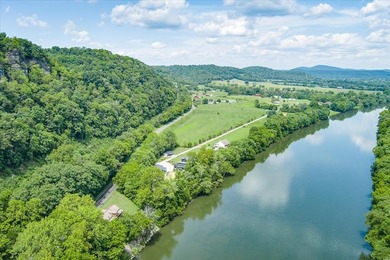 *Down by the lazy river* happily describes this riverside home - photo 42