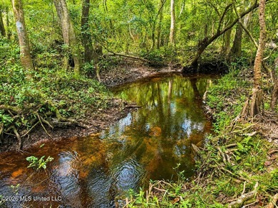 Enjoy the peaceful sounds of a bubbling creek on this beautiful - photo 2