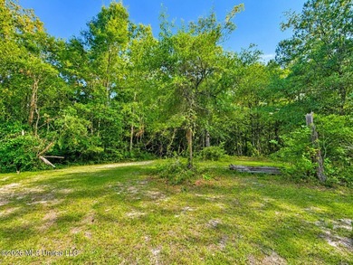 Enjoy the peaceful sounds of a bubbling creek on this beautiful - photo 7