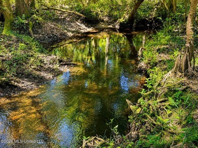 Enjoy the peaceful sounds of a bubbling creek on this beautiful - photo 8