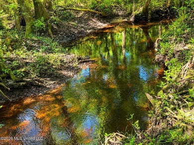Enjoy the peaceful sounds of a bubbling creek on this beautiful - photo 9